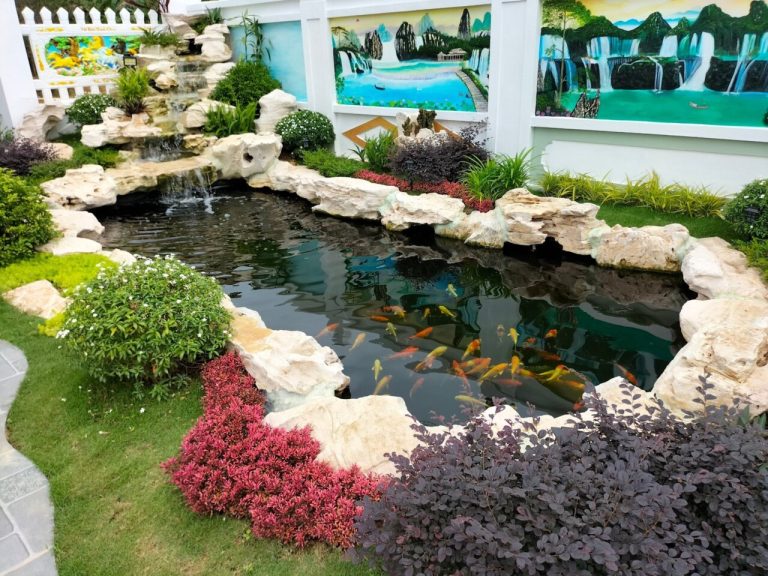 đá cổ thạch nghệ an đẹp, đá mỹ nghệ ánh dương, ánh dương