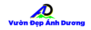 Ánh Dương – Đá mỹ nghệ