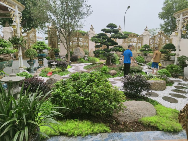 mẫu sân vườn đẹp, đá myc nghệ ánh dương