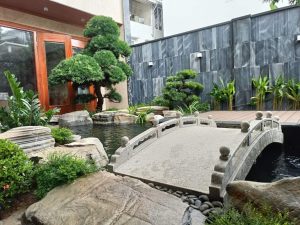 Cây tùng la hán trang trí sân vườn Nhật 2