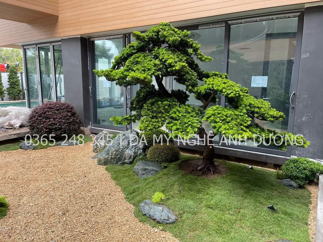 Cách trang trí sân vườn nhỏ đẹp
