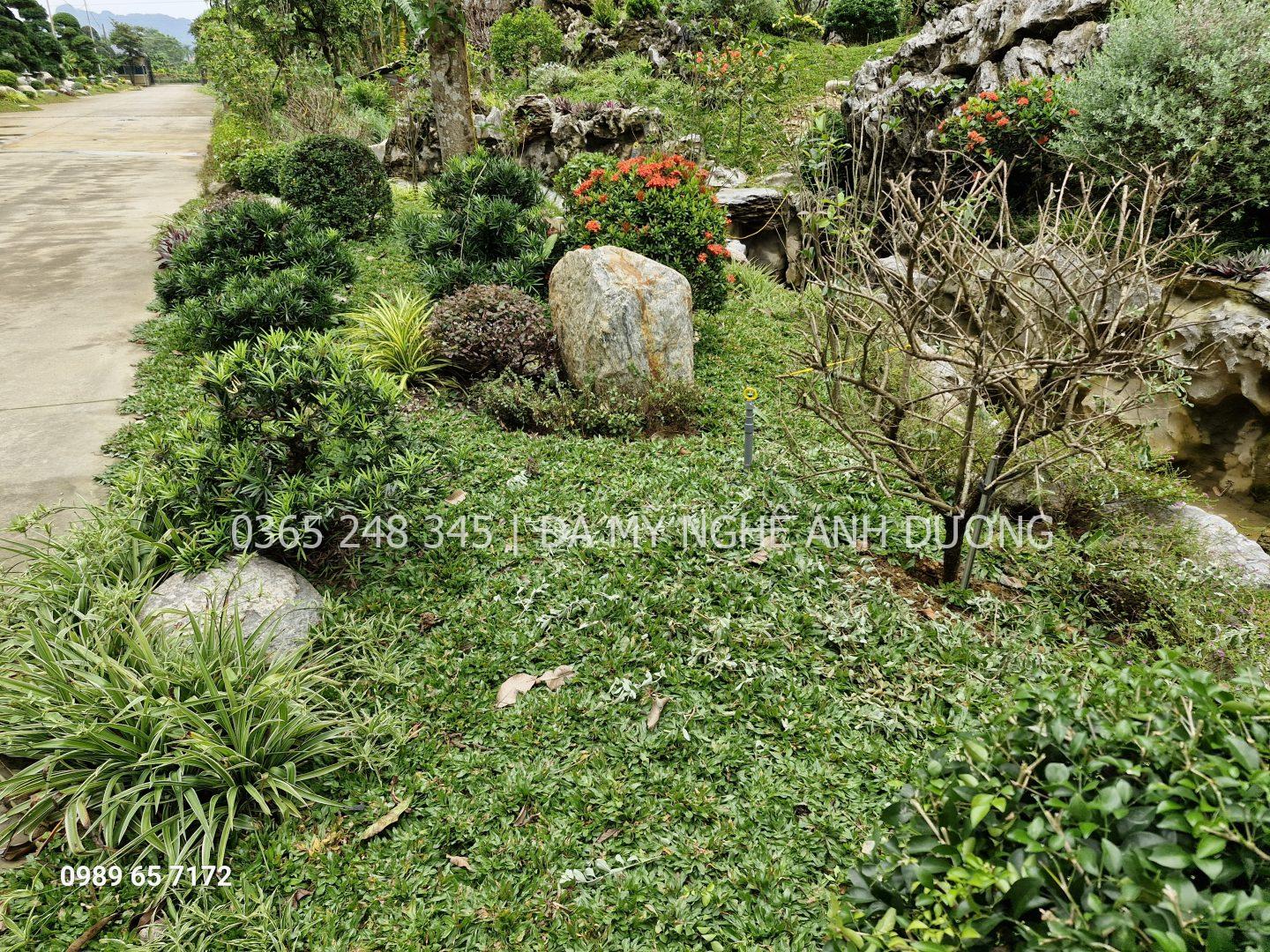 Cách trang trí sân vườn nhỏ trước nhà cấp 4