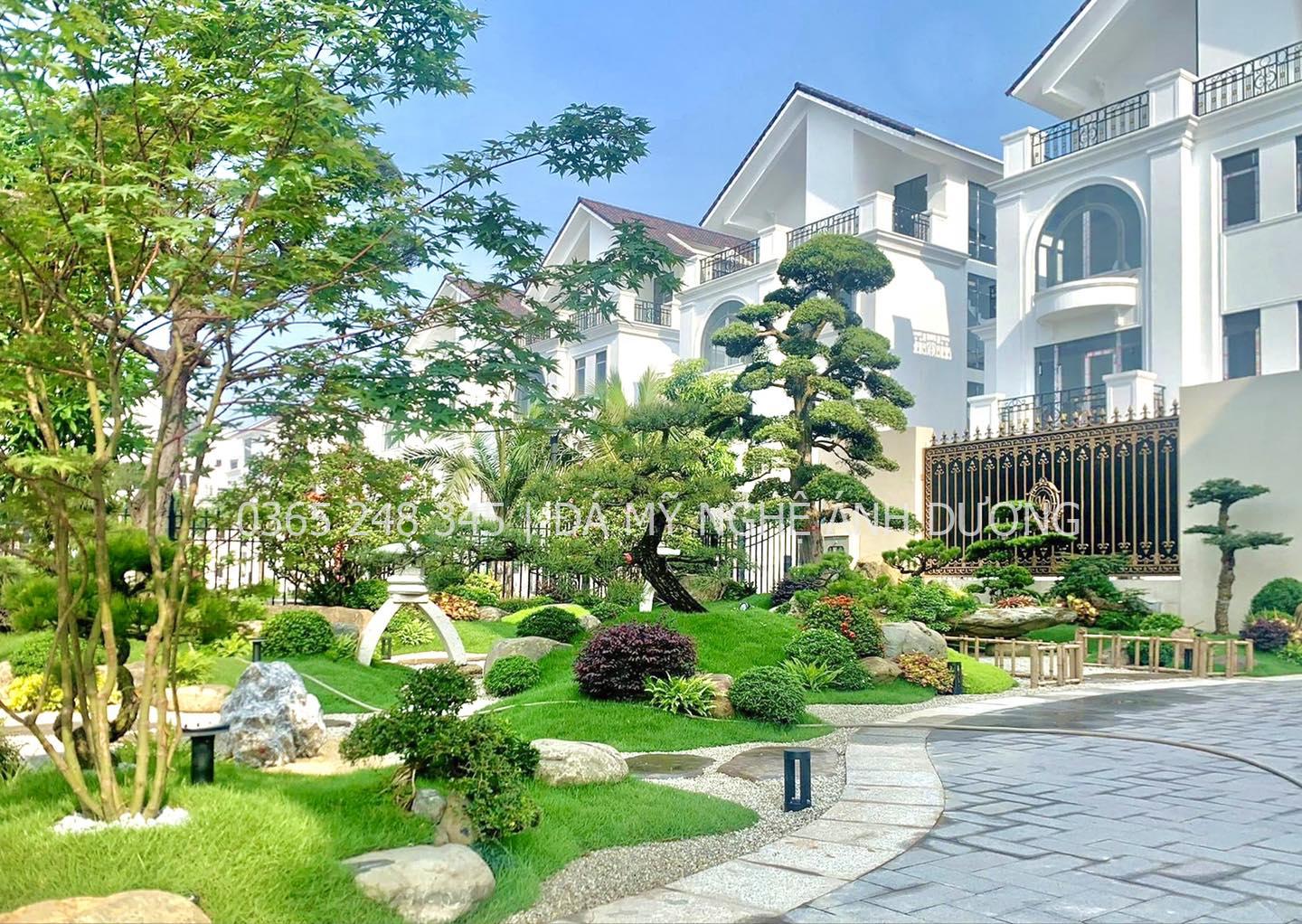 Tiểu cảnh sân vườn trước nhà