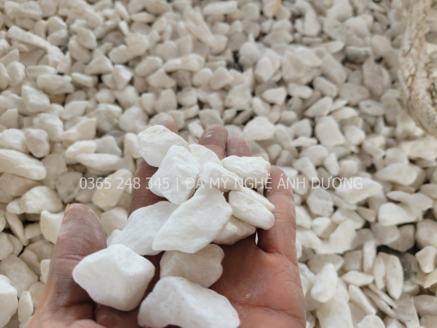 Sỏi trắng sân vườn