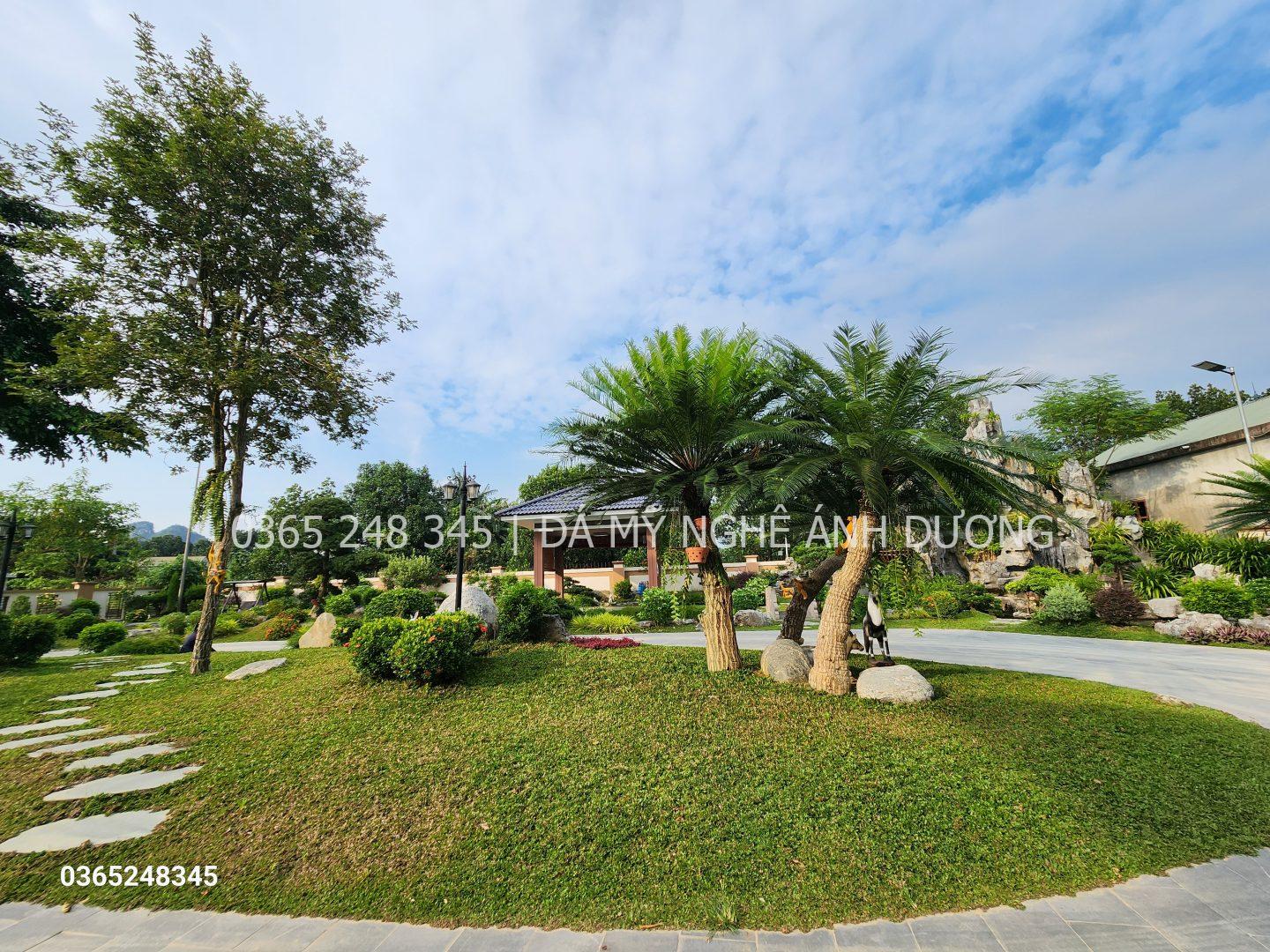 Các loại cây trang trí sân vườn