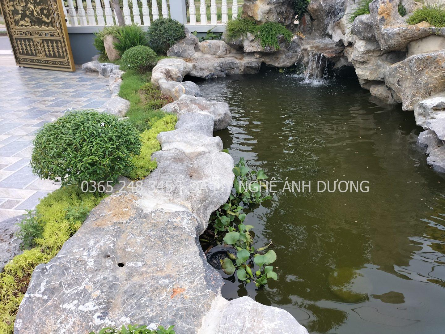 Cách tính kích thước hồ cá theo mục đích Cách tính kích thước hồ cá theo mục đích