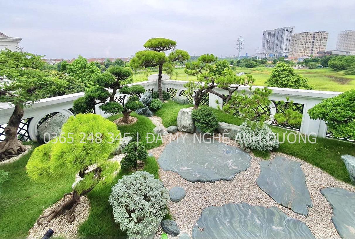 Cây trồng trang trí sân vườn