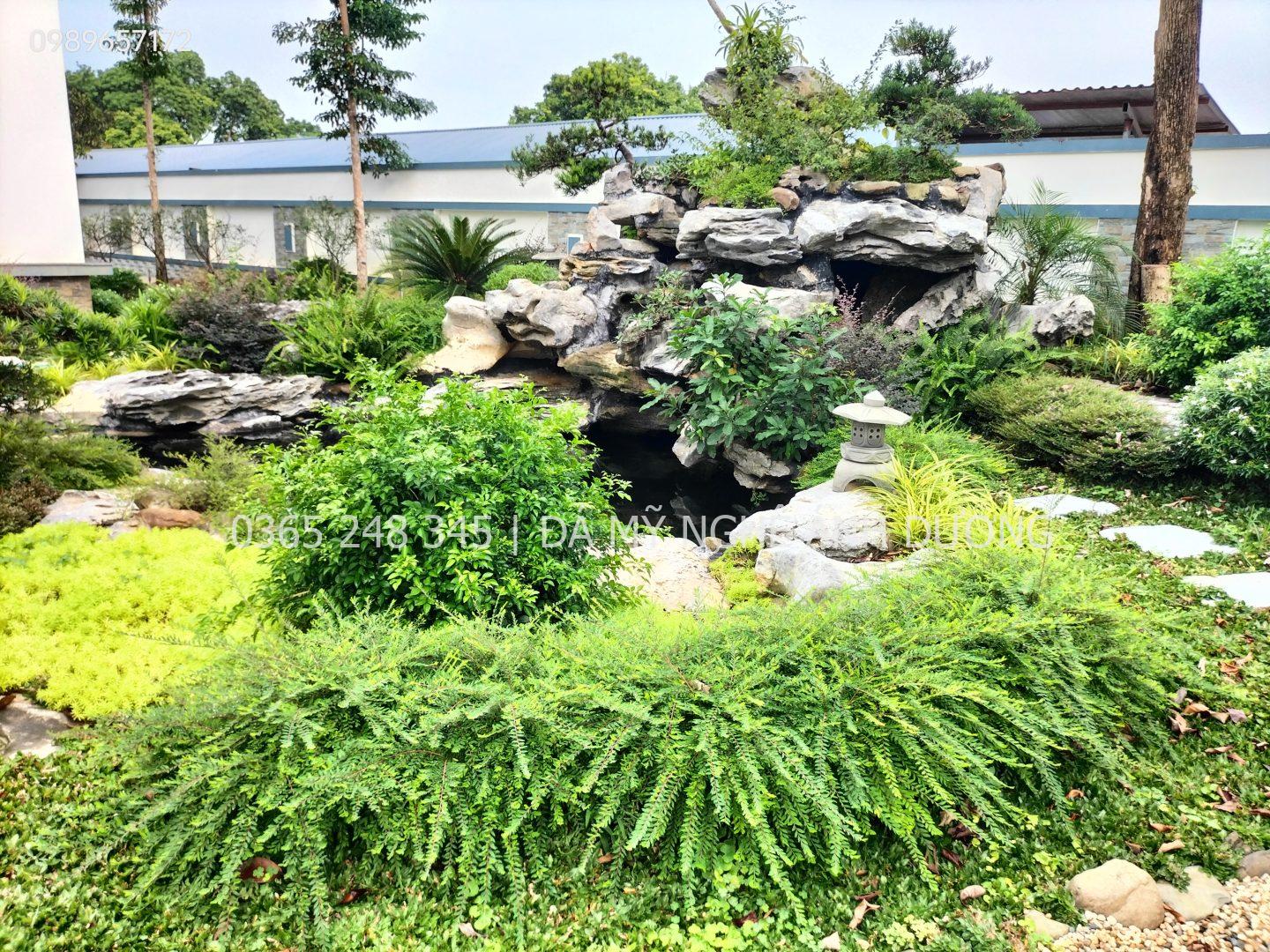 Đơn vị cung cấp thi công cây trồng sân vườn
