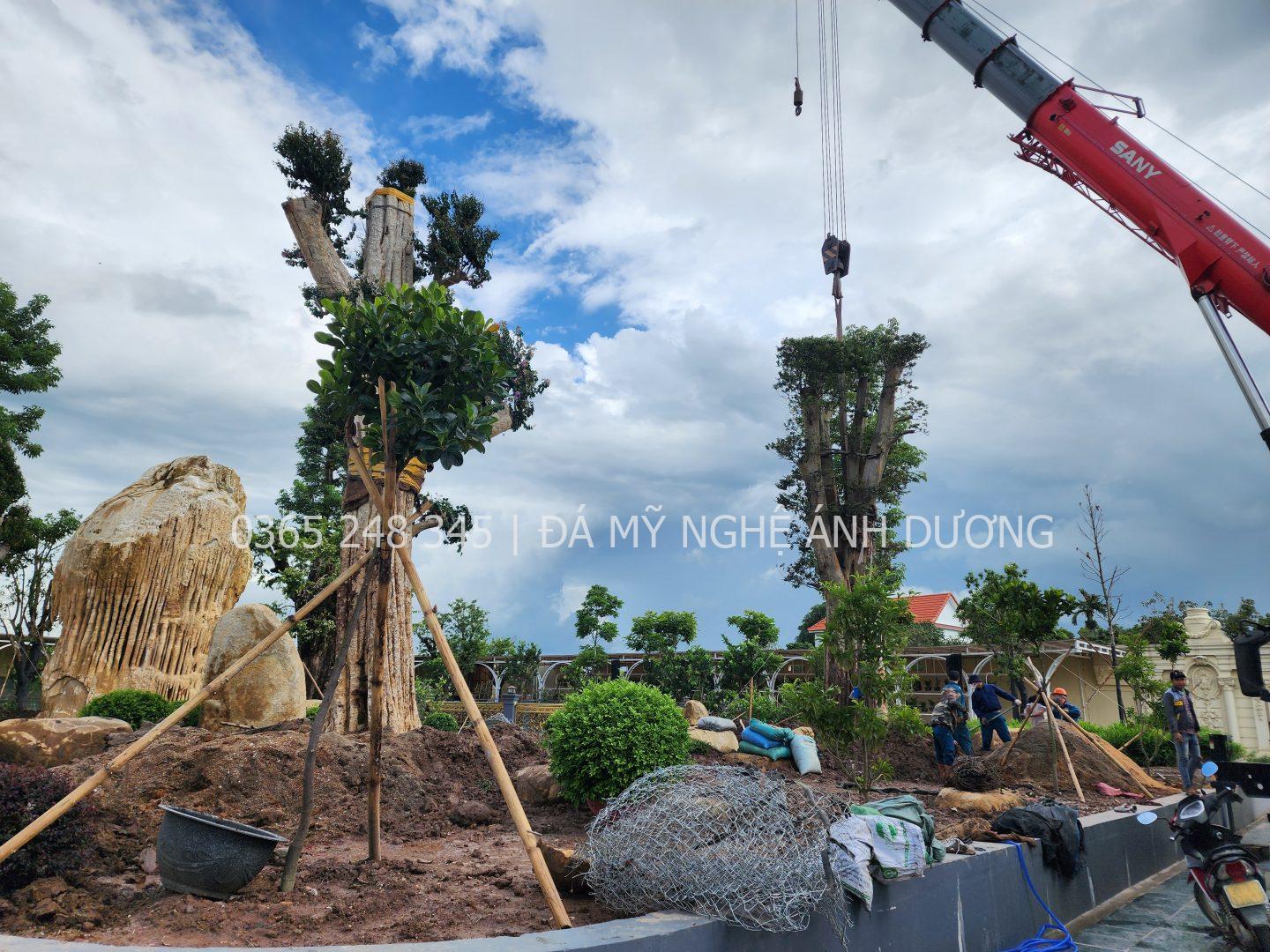 Đơn vị thiết kế thi công cảnh quan sân vườn