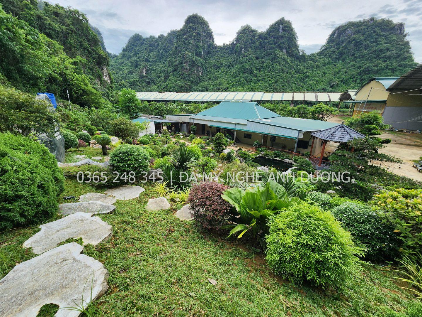 Đơn vị thi công homestay sân vườn chuyên nghiệp