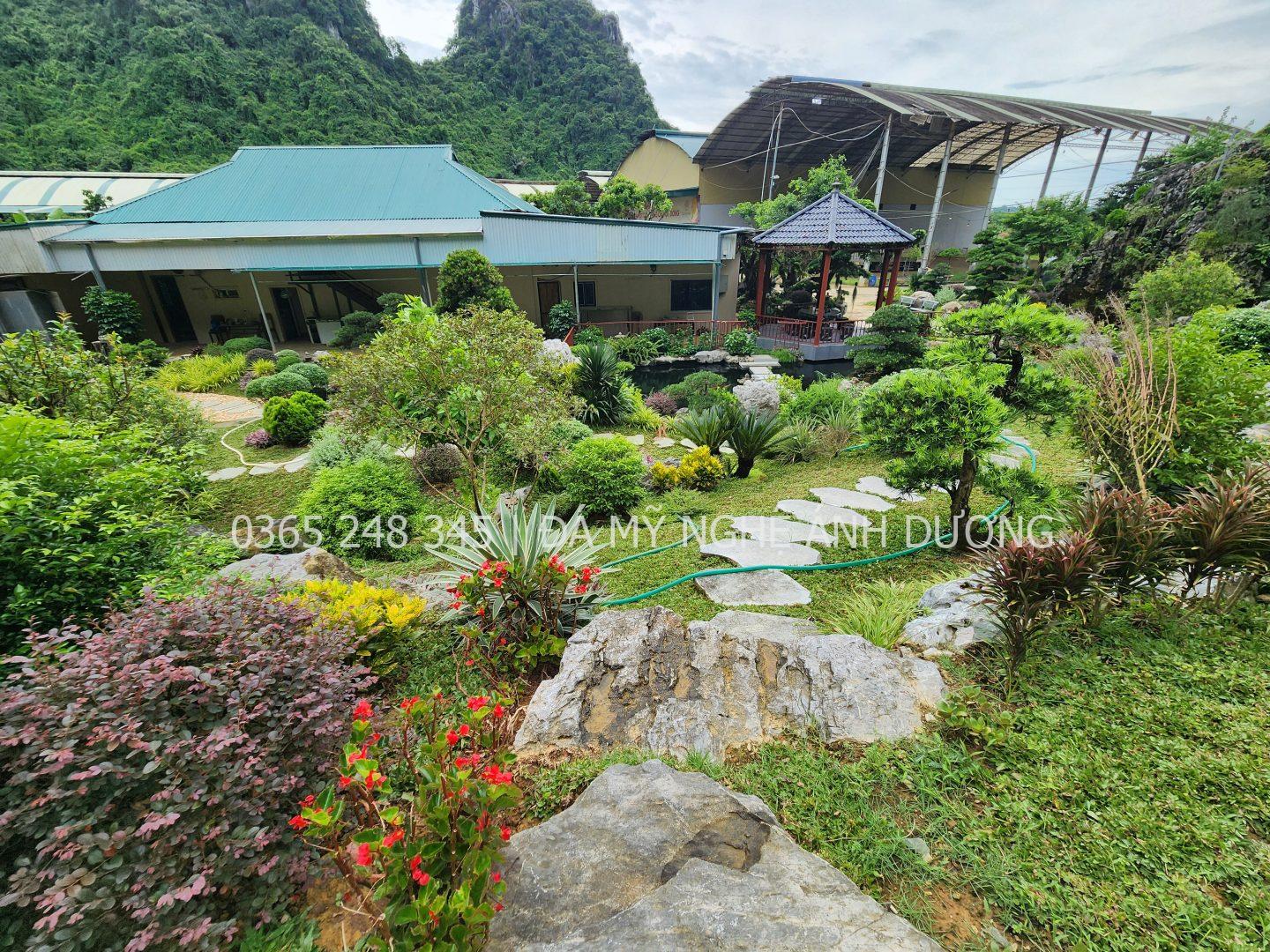 Thi công sân vườn homestay