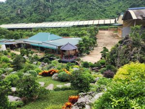 Thiết kế homestay nhà vườn