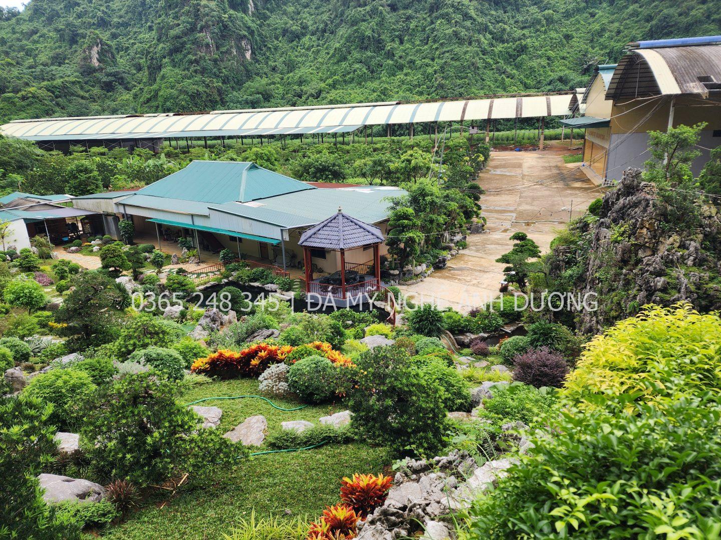 Thiết kế homestay nhà vườn