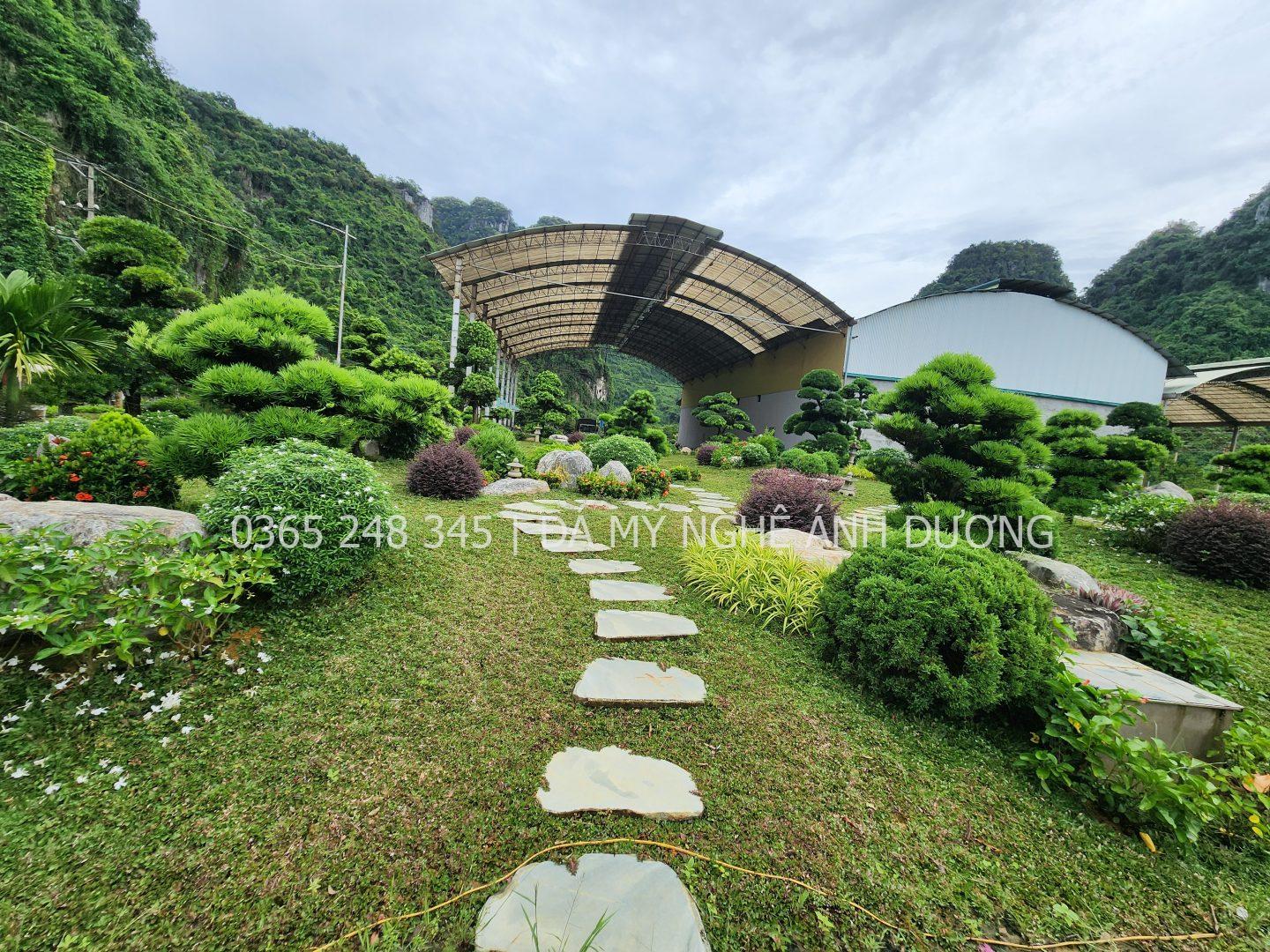 Đơn vị thiết kế homestay nhà vườn uy tín
